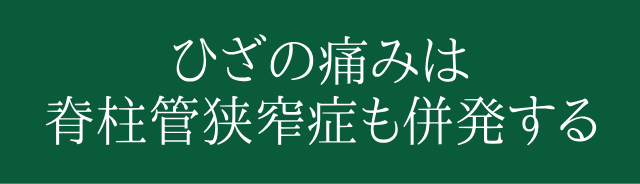 放置すると怖いひざの痛み。あなたが努力しているのに治らない理由