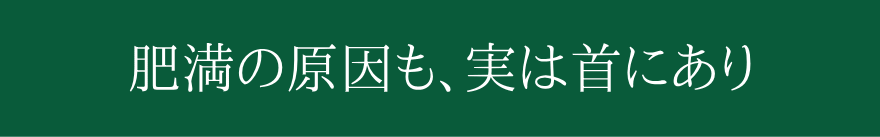 얞̌A͎ɂ