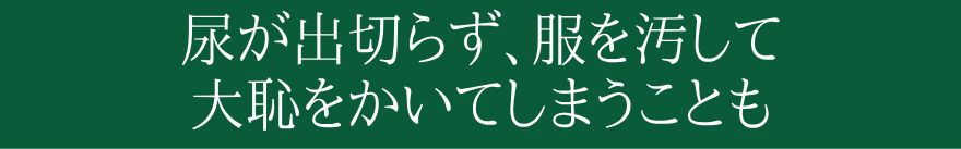 uƕ|pAEAREԕpABȂw͂Ă̂ɎȂR