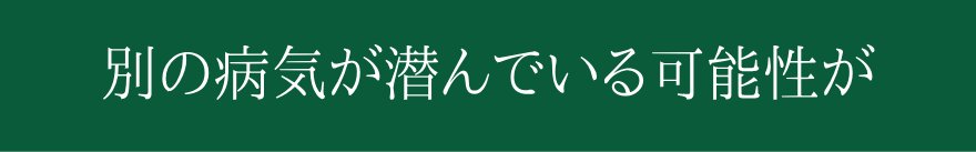 ƊEIɉ񂷊oŌJ