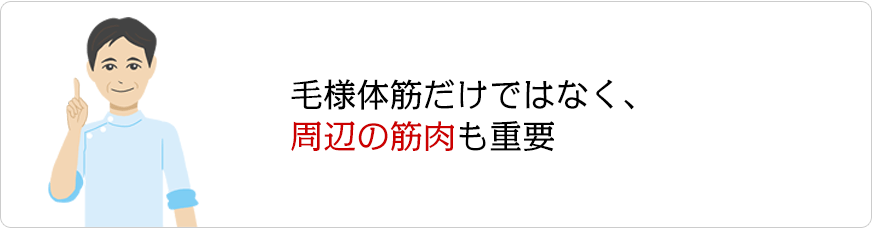 毛様体筋だけではなく、周辺の筋肉も重要