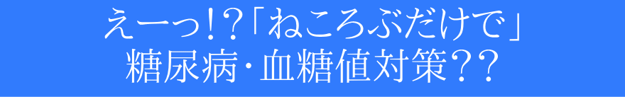 ṔuXgb`vŌl܂