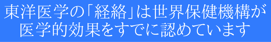 WHOEی@\wIʂF߂Ă܂