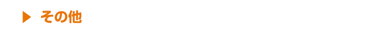 その他