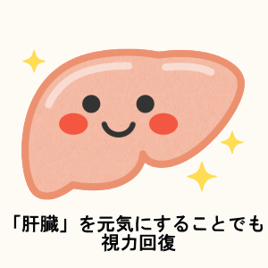 視力回復に関係する肝臓